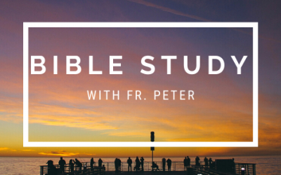 Bible Study With Father Peter