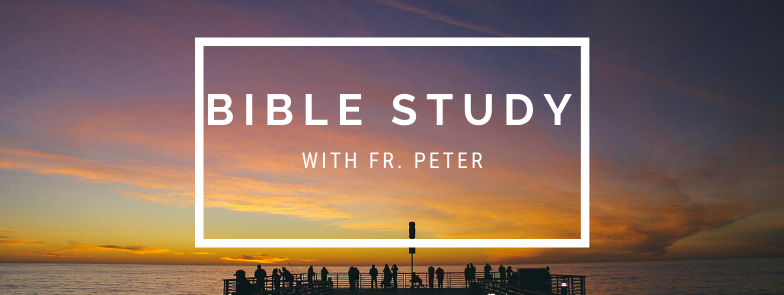 Bible Study with Father Peter