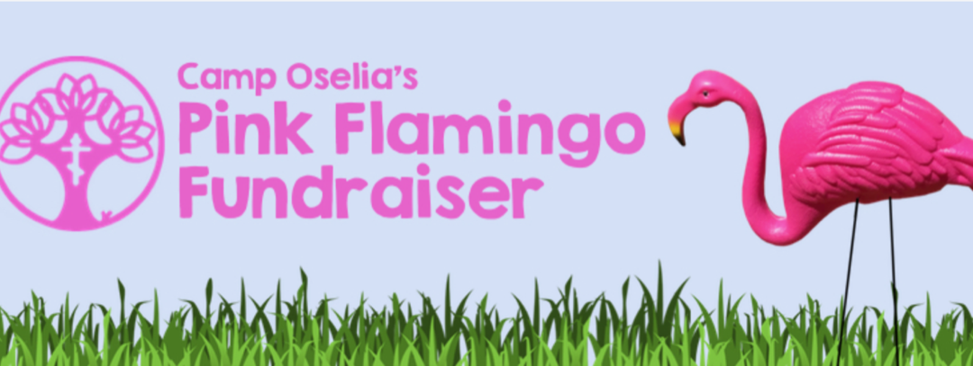 Camp Oselia’s FLAMINGOES!