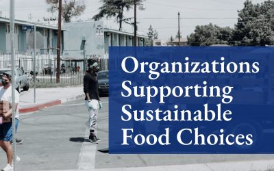 Sowing Seeds of Sustainability: Organizations Supporting Sustainable Food Choices in Edmonton and Calgary