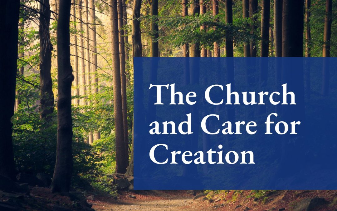 The Ukrainian Catholic Church and Care for Creation: Nurturing Our Common Home