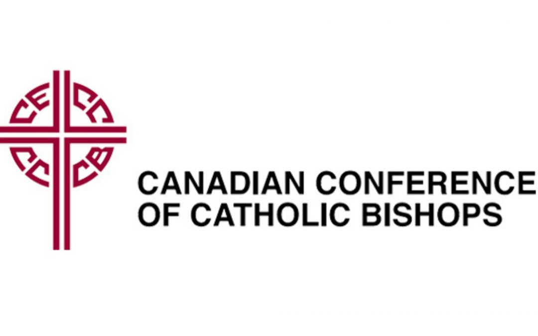 Bishops and Catholic Organizations in Canada Launch Turkey/ Syria Earthquake Emergency Aid Campaign