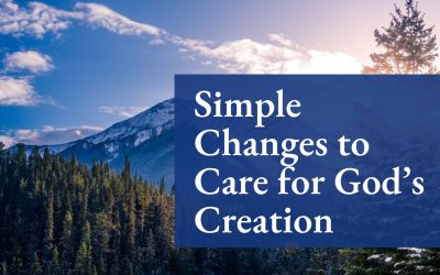 6 Changes to Make in Your House to Care for God’s Creation